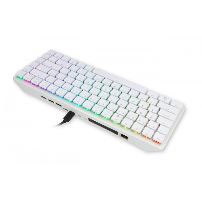 Kit mit Raspberry Pi 500+ - EU 16GB RAM 2.4GHz + offizielles
