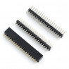 Set Goldpin Raster 2,54mm - Raspberry Pi Zero