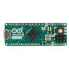 Arduino-Mikro