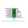 Raspberry Pi Pico - RP2040 ARM-Cortex M0 +
